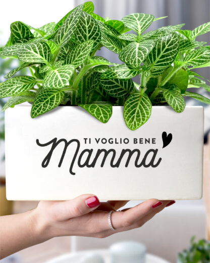 vaso-fioriera-regalo-festa-mamma