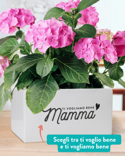 vaso-fioriera-regalo-festa-mamma