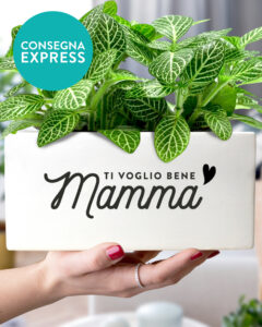 vaso-fioriera-regalo-festa-mamma