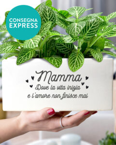 vaso-fioriera-regalo-festa-mamma-frase