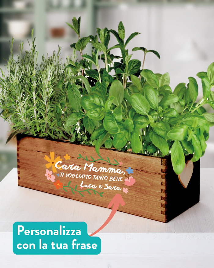 Cassettina Personalizzabile Porta Fiori o Erbe Aromatiche Cara Mamma - Idea  Regalo Originale per Festa della Mamma, Compleanno, Mamme che Amano il  Giardinaggio