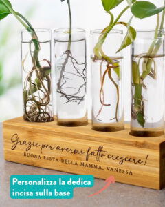 vaso-giardinaggio-talee-regalo-personalizzato-festa-mamma