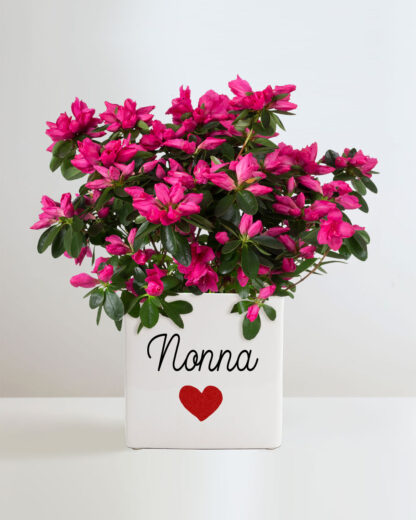 vaso-fiori-festa-nonni-nonna-nonno-foto-regalo-personalizzabile-nipote-2