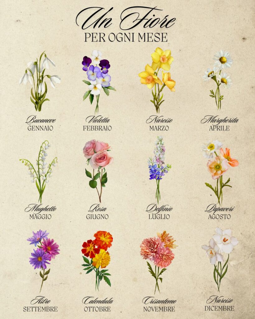 infografica-fiori-mese