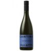 Sauvignon Friuli DOC Sauvignon 2023 Puiatti +€ 14,90