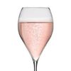 Spumante Rosè Campion Extra Dry +€ 8,80